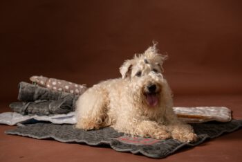 In and Out prostirka - S