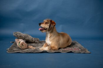 In and Out prostirka - L