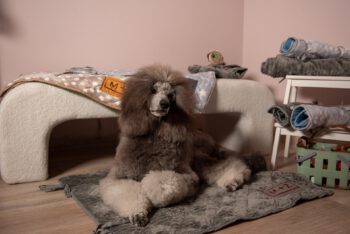 In and Out prostirka - XL