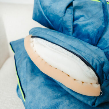 Anatomija Savršenog Sna